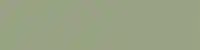Lichen Paint Colour