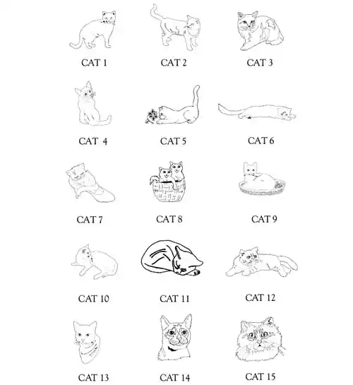 Cat Motifs