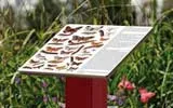 Outdoor Lectern Signage Outdoor Lectern Signage