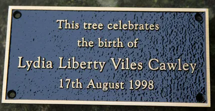 Top quality cast bronze Top quality cast bronze