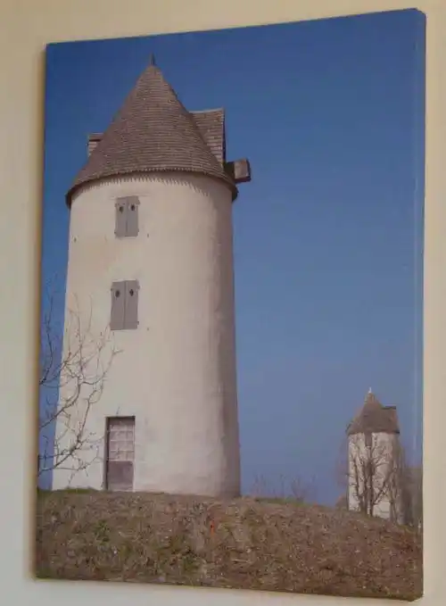 Printed Canvas