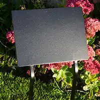 Large double spike with flat plate