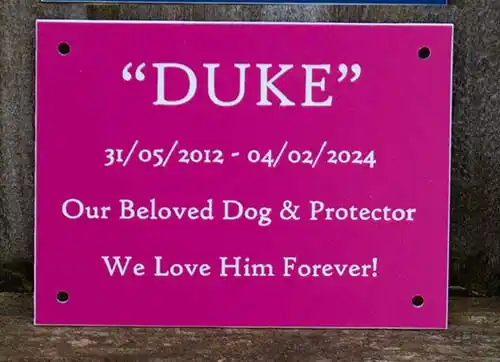 Pink and White Engraved Plaque