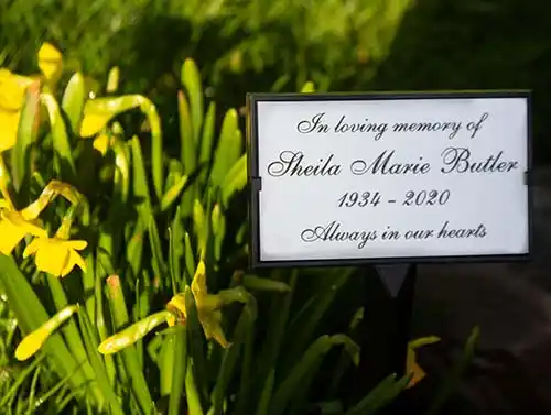 Plaque in all in one plaque holder
