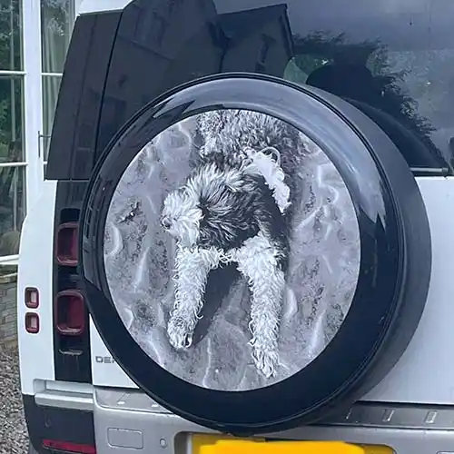 Customer Wheel Cover In Situ