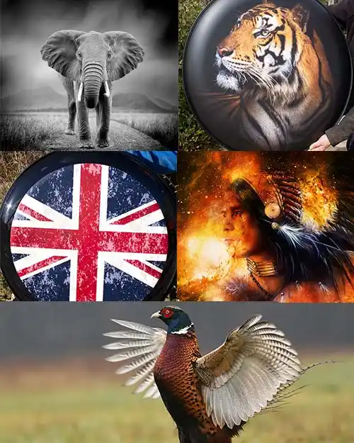Wheel Cover Images