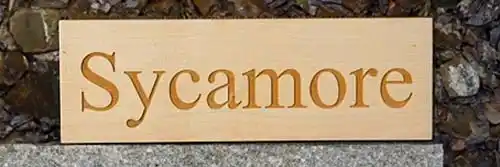 Sycamore Sign