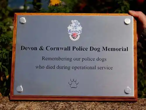 Engraved Stainless Steel