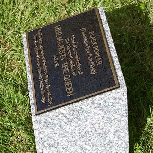 The granite plinths can be grey or black. Bronze Memorial on Granite Plinths