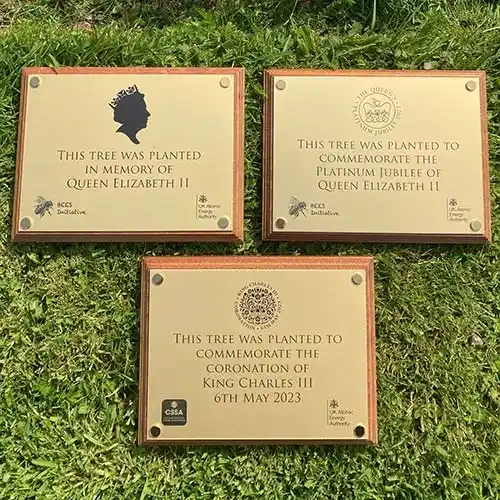 Three Gold Anoprinted Plaques