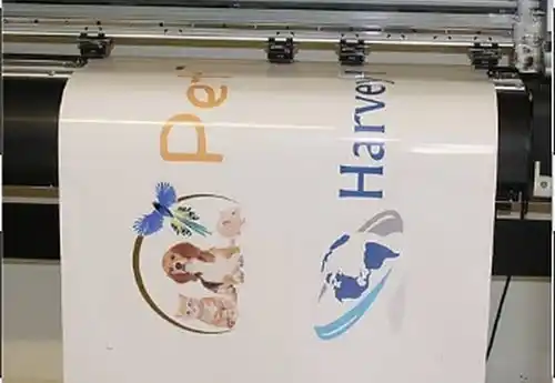 Printed Image on Vinyl